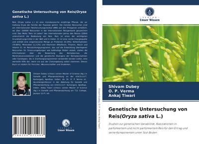 Genetische Untersuchung von Reis(Oryza sativa L.)