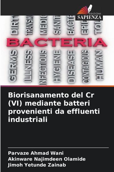 Biorisanamento del Cr (VI) mediante batteri provenienti da effluenti industriali