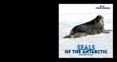Seals of the Antarctic