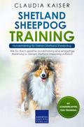 Shetland Sheepdog Training – Hundetraining für Deinen Shetland Sheepdog