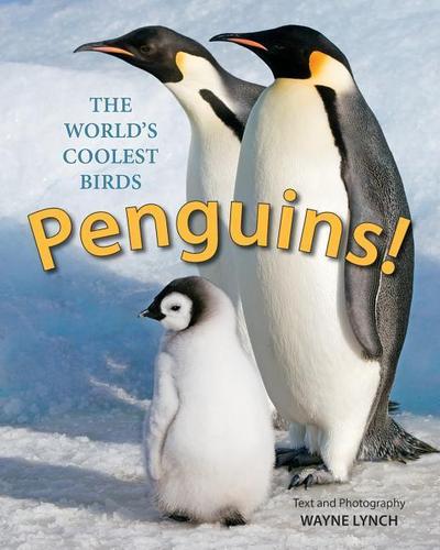 Penguins! The World’s Coolest Birds