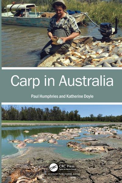 Carp in Australia
