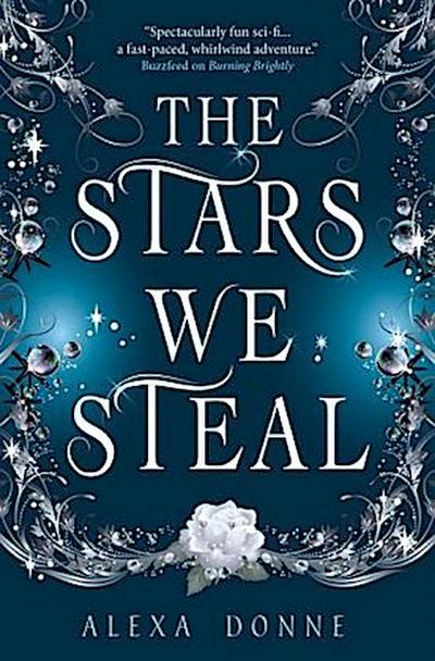 The Stars We Steal