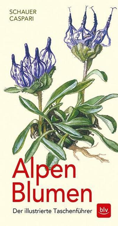 Alpen-Blumen