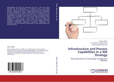 Infrastructure and Process Capabilities in a KM Strategy
