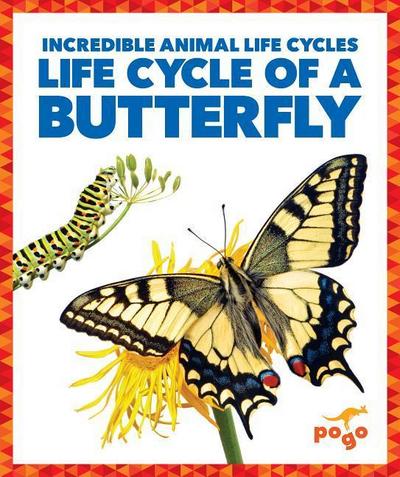 Kenney, K: Life Cycle of a Butterfly