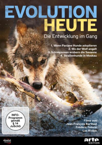Evolution heute: Die Entwicklung im Gang, 1 DVD-Video