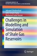 Challenges in Modelling and Simulation of Shale Ga