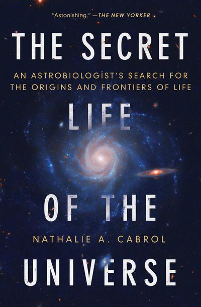 The Secret Life of the Universe