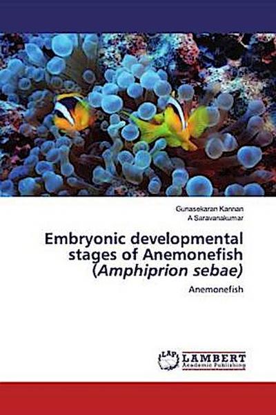 Embryonic developmental stages of Anemonefish (Amphiprion sebae)