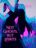 Not Ghosts, But Spirits IV