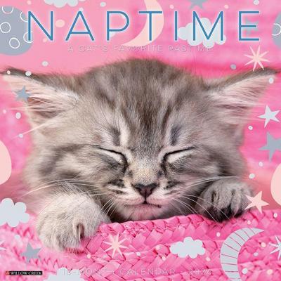 Naptime: A Cat’s Favorite Pastime 2026 Wall Calendar