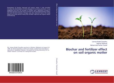 Biochar and fertilizer effect on soil organic matter