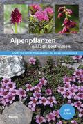 Alpenpflanzen einfach bestimmen