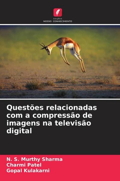 Questões relacionadas com a compressão de imagens na televisão digital