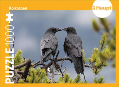 Kolkraben - Puzzle