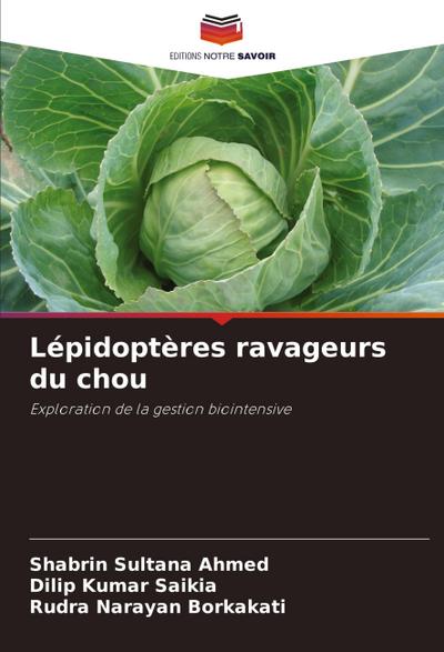 Lépidoptères ravageurs du chou