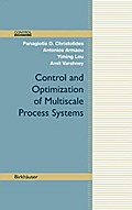 Control and Optimization of Multiscale Process Systems
