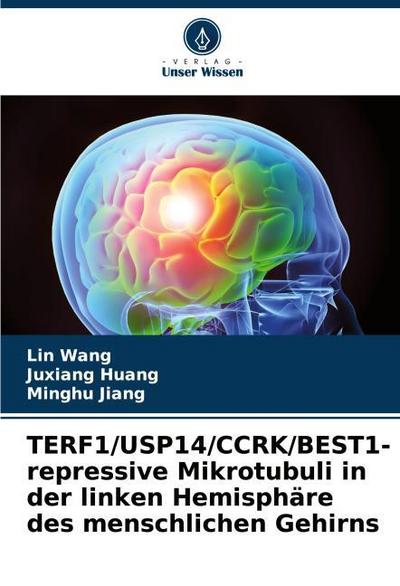 TERF1/USP14/CCRK/BEST1-repressive Mikrotubuli in der linken Hemisphäre des menschlichen Gehirns