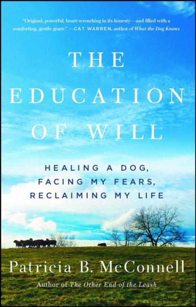 Education of Will