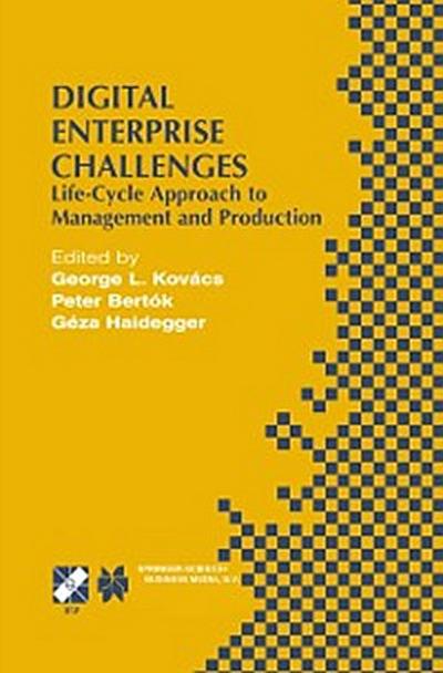 Digital Enterprise Challenges