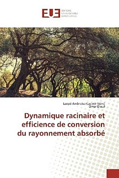 Dynamique racinaire et efficience de conversion du rayonnement absorbé