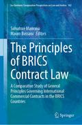 The Principles of BRICS Contract Law