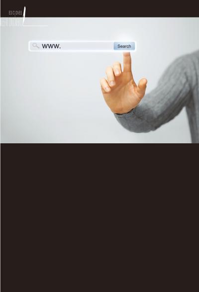 Necesidades de información y búsqueda de información en la era de Internet