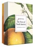 The Trees of North America