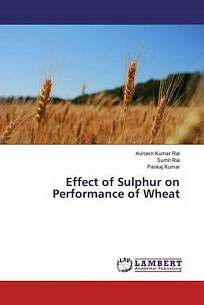 Effect of Sulphur on Performance of Wheat