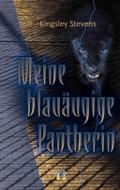 Meine blauäugige Pantherin