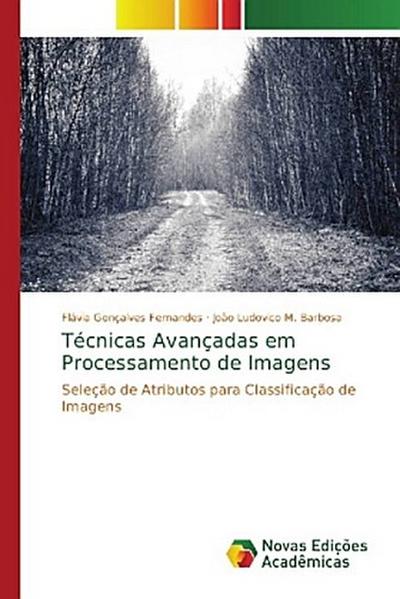 Técnicas Avançadas em Processamento de Imagens