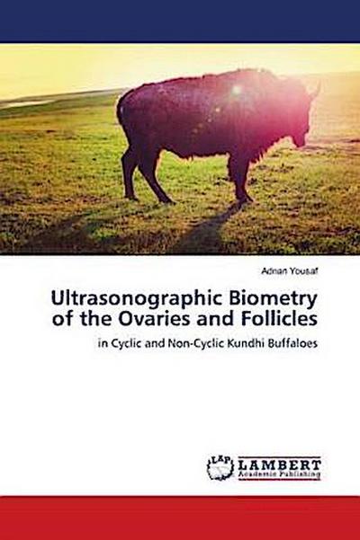 Ultrasonographic Biometry of the Ovaries and Follicles