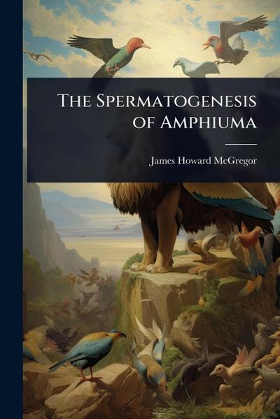 The Spermatogenesis of Amphiuma