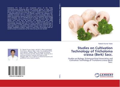 Studies on Cultivation Technology of Tricholoma crassa (Berk) Sacc.