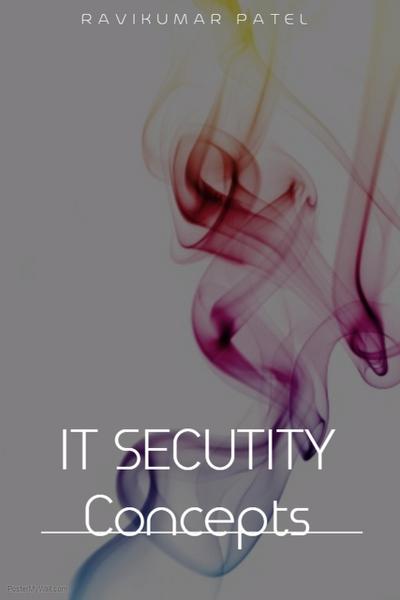 IT Security Concepts (1, #1)