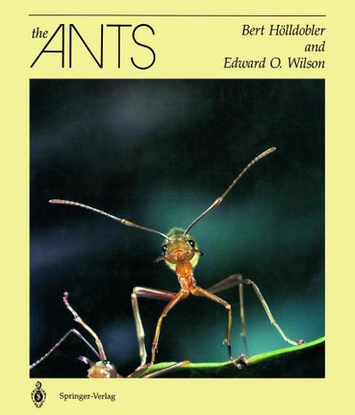 The Ants