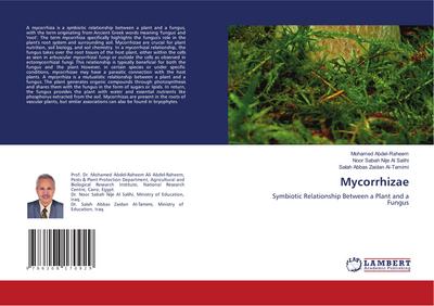 Mycorrhizae