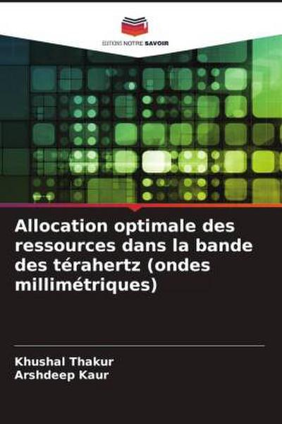 Allocation optimale des ressources dans la bande des térahertz (ondes millimétriques)