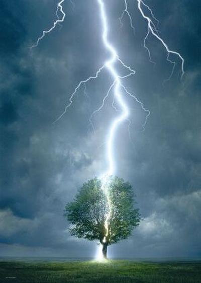Lighting Striking Tree (Puzzle)