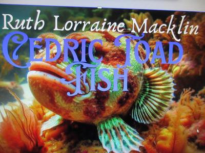 Credic Toad Fishe’s Fall From Grace