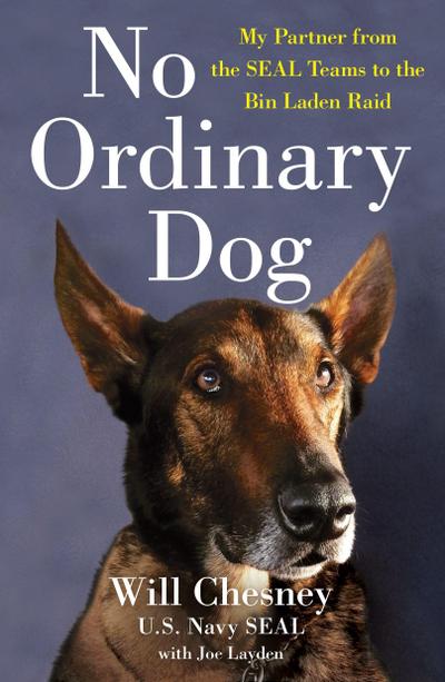 No Ordinary Dog