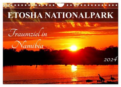 ETOSHA NATIONALPARK Traumziel in Namibia (Wandkalender 2024 DIN A4 quer), CALVENDO Monatskalender