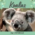 Der Koala
