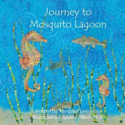 Journey to Mosquito Lagoon