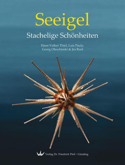 Seeigel - Stachelige Schönheiten