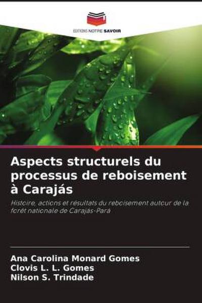 Aspects structurels du processus de reboisement à Carajás