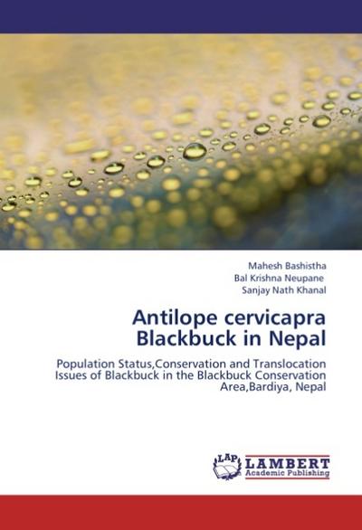 Antilope cervicapra Blackbuck in Nepal