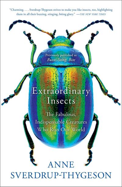 Extraordinary Insects