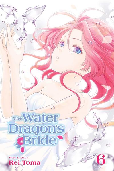 Water Dragon’s Bride, Vol. 6